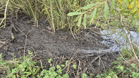 Eine Matschspur führt von der Jossoller zur Biberburg.