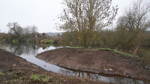 Blick auf eine kleine Insel in der Lahn, auf der Bäume und andere Pflanzen wachsen. 