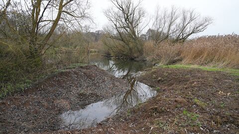 Blick auf eine beruhigte Gewässerzone. Zu sehen sind Bäume und die Lahn.